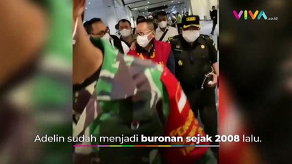 Terpidana Kasus Pembalakan Liar, Adelin Lis Ditangkap
