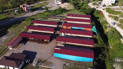 Ordu'da ilk kurbanlıklar pazara indi