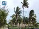 الإعصار "إرما" يصل لليابسة في كوبا وفلوريدا الأمريكية تجلي ملايين السكان