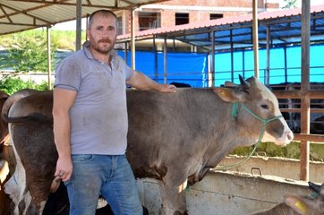 Ordu'da ilk kurbanlıklar pazara indi