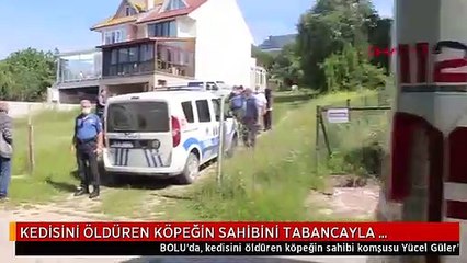 KEDİSİNİ ÖLDÜREN KÖPEĞİN SAHİBİNİ TABANCAYLA VURAN ŞÜPHELİ ADLİYEDE