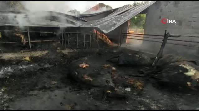 Besihanede yangın çıktı, 8 büyükbaş, 18 küçükbaş hayvan yanarak telef oldu