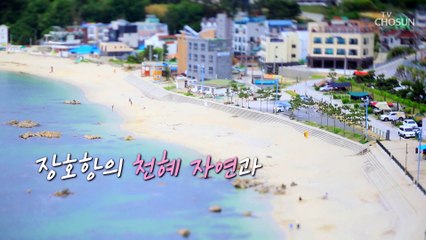 【최고의 순간】 최선자와 최진희의 잊을 수 없는 추억 여행 TV CHOSUN 20210620 방송