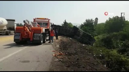 TEM Otoyolu'nda soya fasulyesi yüklü tır devrildi...Yol soya fasulyesi ile kaplandı, sıkışan sürücüyü itfaiye ekipleri kurtardı
