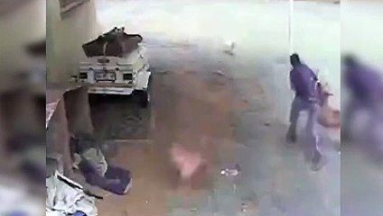 Köpekler hırsızı parçaladı