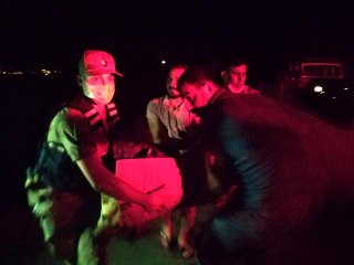 Son dakika haberleri! Silahla vurulan köpeğe jandarma sahip çıktı