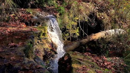 Soothing Instrumental Music _ Water Sounds for Sleep or Focus _ Healing Music (1)