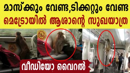 എന്തൊക്കെ അഭ്യാസങ്ങളാ.. ചിരിപ്പിച്ച് കൊല്ലും ഈ കുരങ്ങച്ചൻ