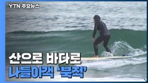 산으로 바다로...초여름 날씨 속 나들이객 '북적' / YTN