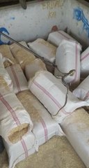 Fethiye'de samanlıkta yakalanan yılan doğaya bırakıldı