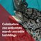 Coimbatore zoo welcomes 14 marsh crocodile hatchlings