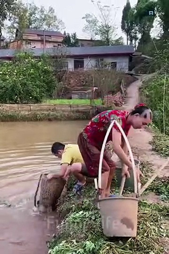 funny video | comedy video | best funny video2021 |comedy video india | talegu funny video | comedy 