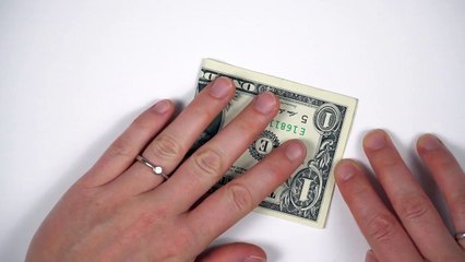 Dollar Origami Animals  Making A Fox Out Of Money