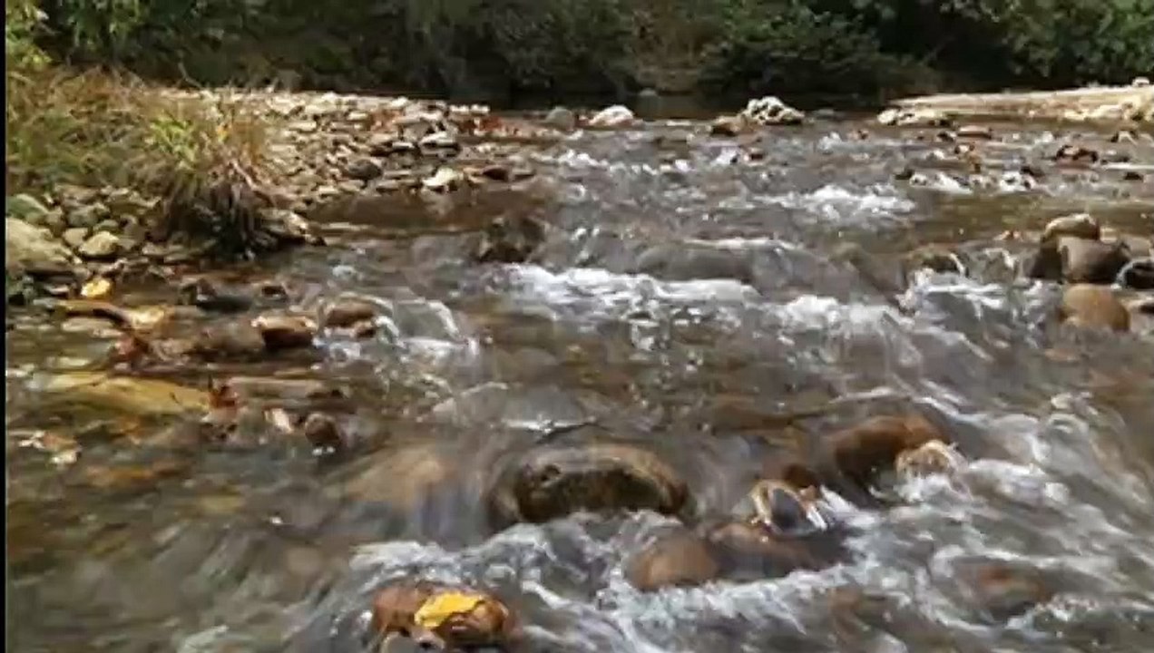 Status of Beautiful Ganga River Video #copyright free #Status Video Full HD