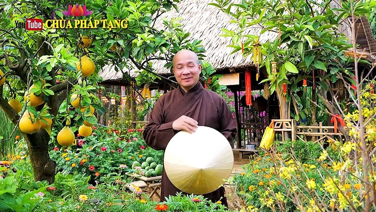 Trị Gan Nhiễm Mỡ, Ngăn Ngừa Xơ Vữa Động Mạch Với Bài Thuốc Đơn Giản Từ Quả Bưởi Non/ Fatty Liver