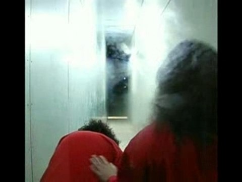 Les Wriggles à l'Olympia (teaser)