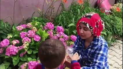 Zehirli bir yapıya sahip 'İnsan Yüzlü Örümcek' İzmir'de de görüldü