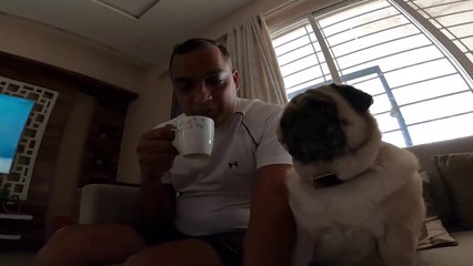 Two tea lovers