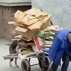 Kağıt toplayan sahibine işte böyle yardım etti