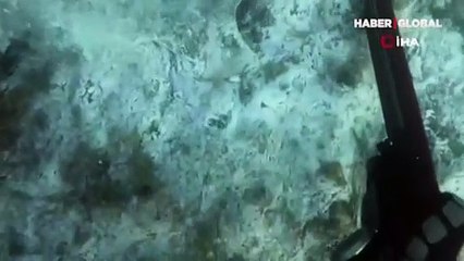 Müsilajın deniz altındaki tahribatı böyle görüntülendi