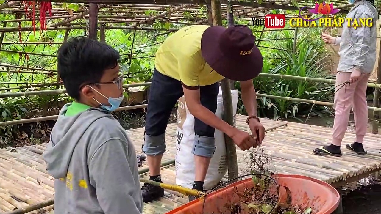 Tiểu Không Tự Chủ, Đái Dầm, Tiểu Buốt Sẽ Khỏi Hẳn Với Bài Thuốc Đơn Giản. Chùa Pháp Tạng / Enuresis
