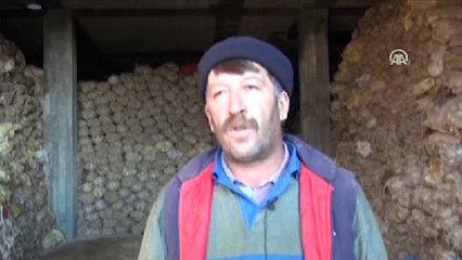 Terör yüzünden tonlarca patates depoda kaldı