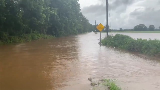 Tropical Storm Claudette dumps rain along the Gulf coast