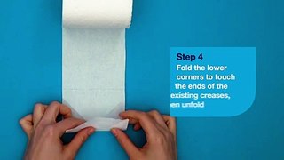 Tork Toilet Paper Origami - Butterfly