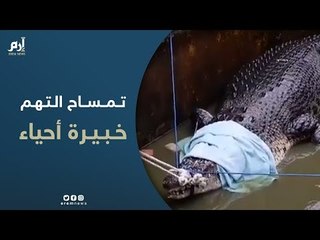 يبلغ طوله 4.4 متر.. السيطرة على تمساح بعد التهامه خبيرة أحياء مائية في إندونيسيا