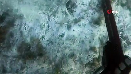 Marmara Denizi'nin altında dehşet verici görüntüler!
