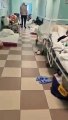 Delta varyantının esir aldığı Rusya'da hastaneler doldu
