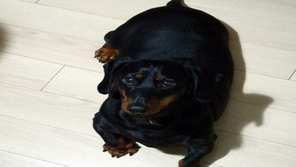 [SH] NLE 사용여부 테스트 4 ㅇㅇㅇㅇㅇㅇㅇㅇㅇㅇㅇㅇㅇㅇ