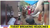 Elephant Viral Video ! Breaking News 20 km का सफर तय कर पहूंचा हाथी । Keral video