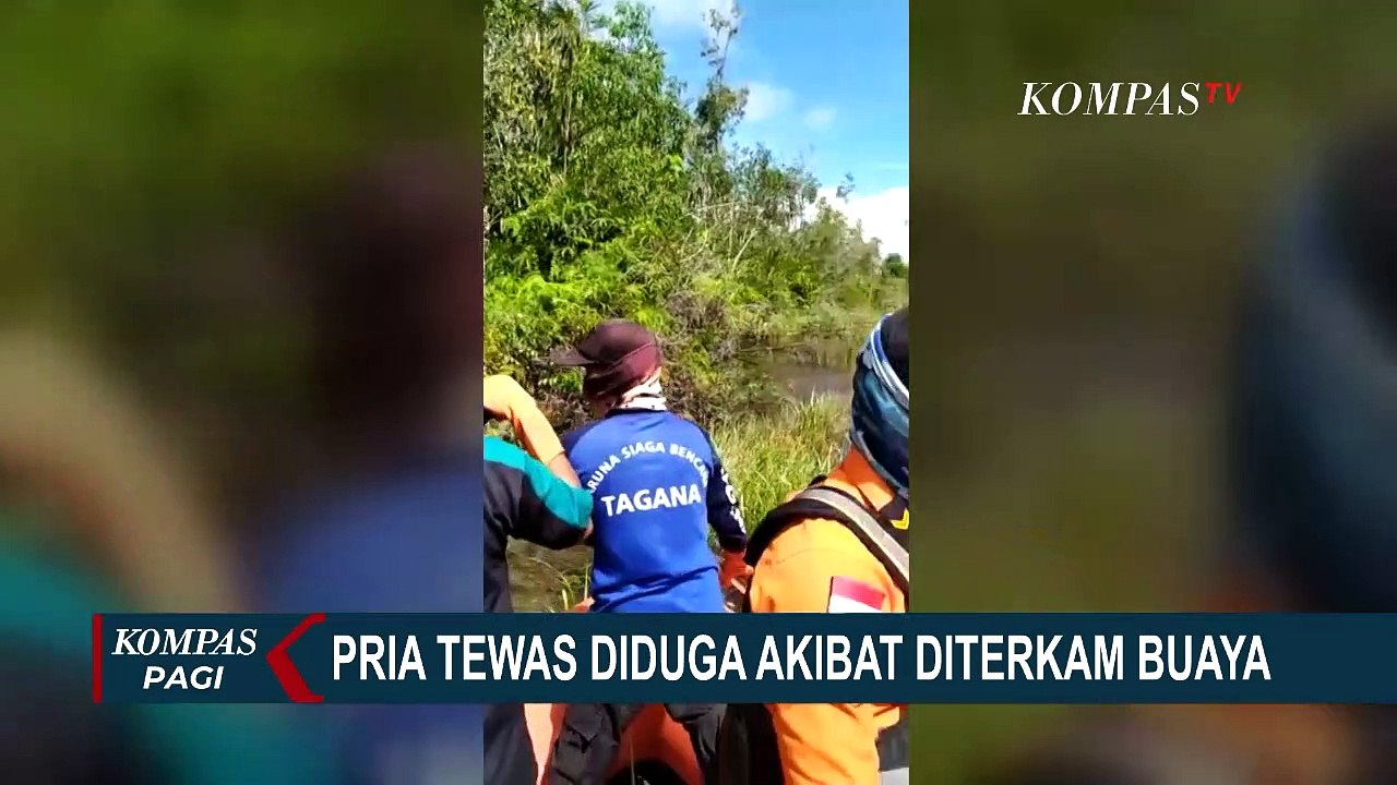 Jasad Pria Ditemukan Tak Utuh, Diduga Diterkam Buaya