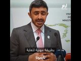 عبدالله بن زايد: لم نسم الدولة التي تقف وراء الهجمات على السفن