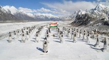 Yoga day: Soldiers from Ladakh to Galwan did yogasan, Video