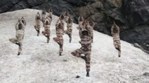 Nonstop: Soldiers did yoga at 14,000 ft altitude in Ladakh