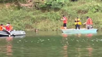 다슬기 채취·등산 중 실종사고 잇따라...2명 사망 / YTN