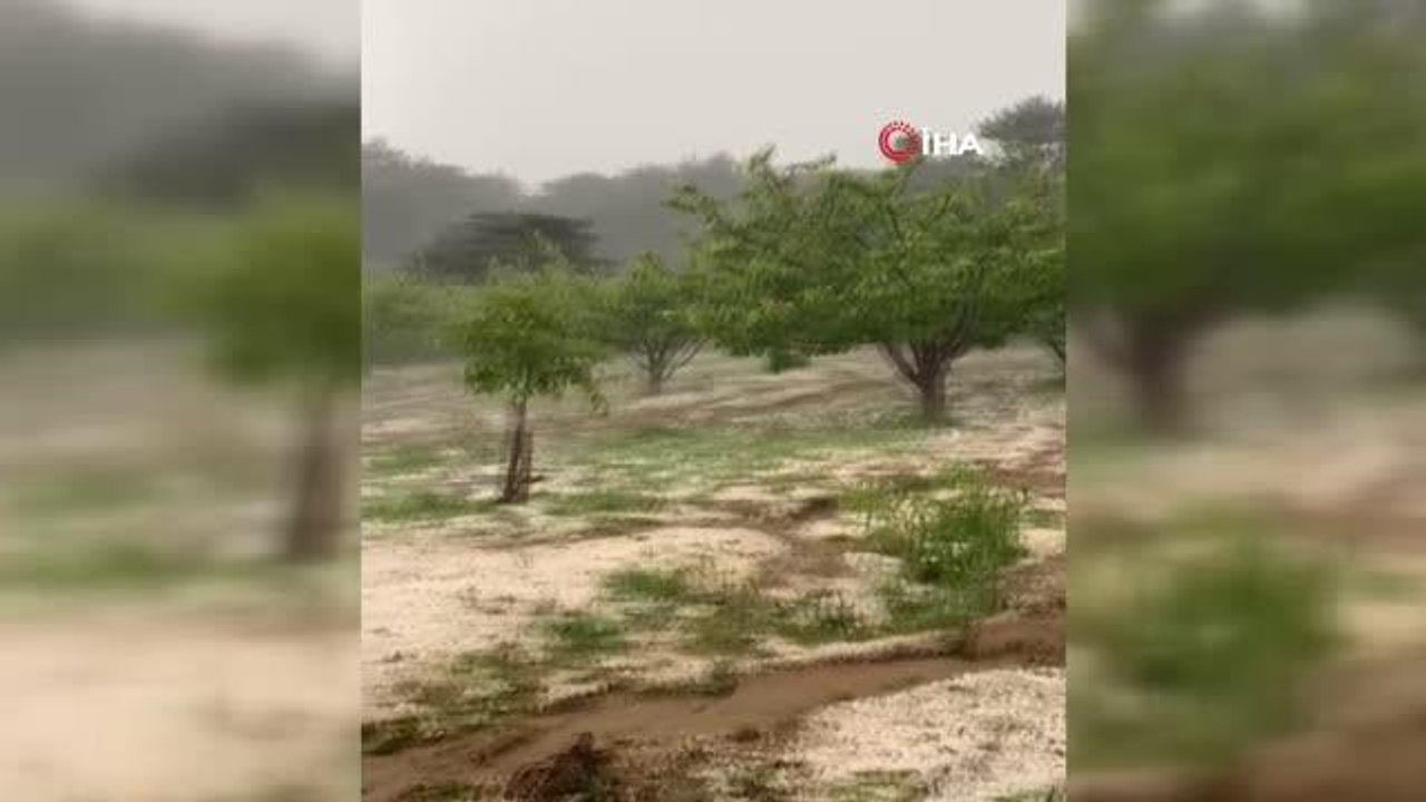 Bursa'da dolu yağışı mahsülleri vurdu