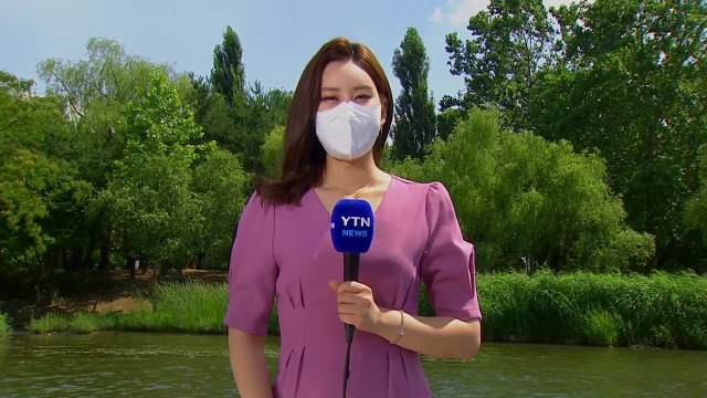 [날씨] '하지' 내륙 맑고 더워...내일부터 곳곳 소나기 / YTN