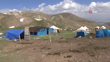 Zorlu yayla hayatı minik Zehra'nın eğitim aşkına engel olamıyor