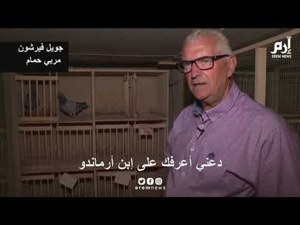 لماذا اشترى مقاول طائر حمام زاجل بـ 1.25 مليون يورو؟