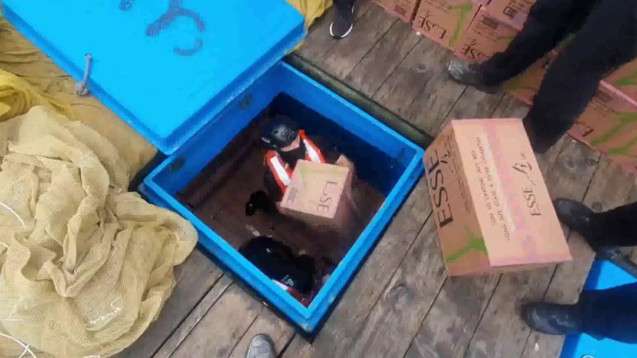 담배 25억 원어치 밀수 시도 어획물운반선 적발 / YTN