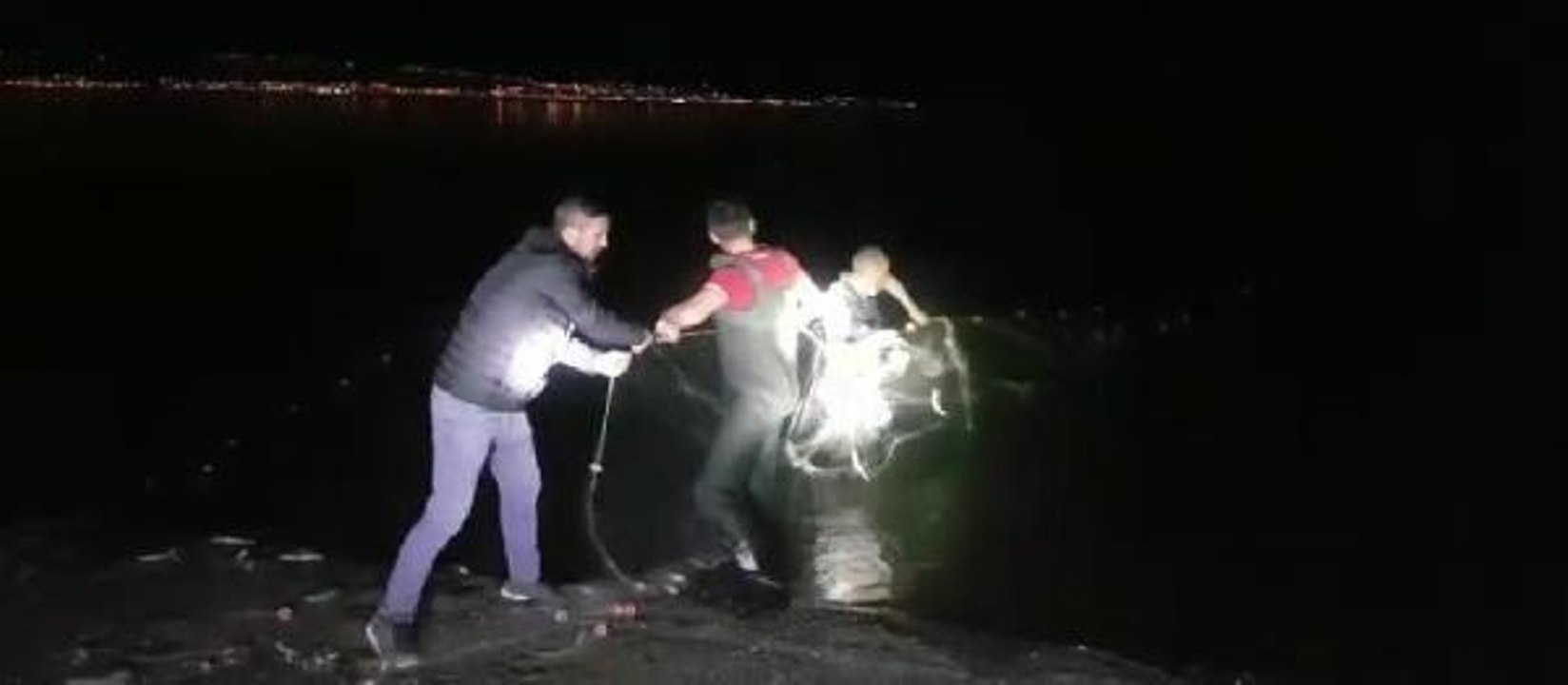 VAN'DA, KAÇAK AVLANAN 2 TON 350 KİLO İNCİ KEFALİ ELE GEÇİRİLDİ