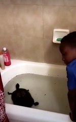 Boy puts pet turtle in bathtub