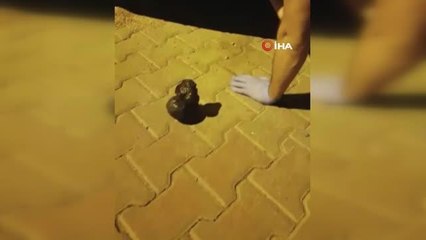 Krem kutusundan uyuşturucu çıktı