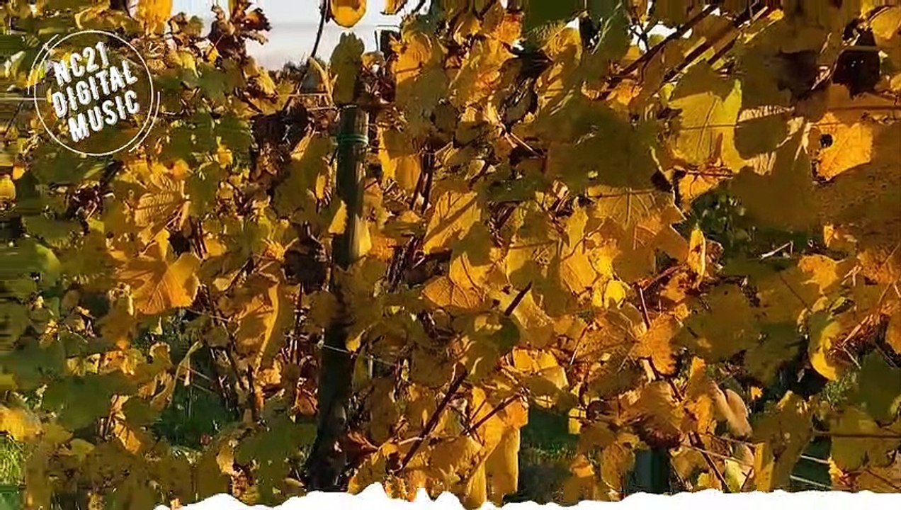 NOUVELLE MUSIQUE ÉLECTRONIQUE 2021, Les plus jouées 2021,NEW ELECTRONIC MUSIC 2021, Most played 2021Melhores Musicas Eletronicas, Músicas Eletrônicas, Mais Tocadas, Downloads, Home Stretch - Gunnar Olsen