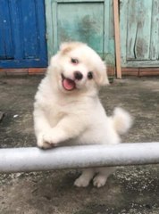 [SH][DM] 개행 테스트