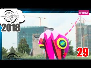 Camera Cận Cảnh 2018 - Tập 29: Xung quanh chuyện thả diều