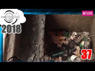 Camera Cận Cảnh 2018 - Tập 37: Vấn nạn rác thải